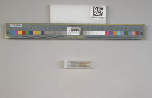 NSF ADBC EPICC TCN