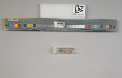 NSF ADBC EPICC TCN