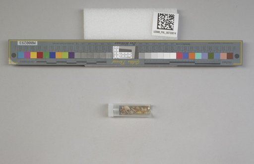 NSF ADBC EPICC TCN
