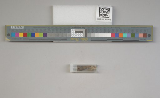 NSF ADBC EPICC TCN