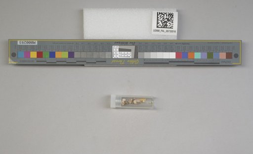 NSF ADBC EPICC TCN