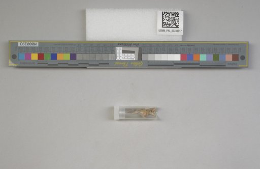 NSF ADBC EPICC TCN