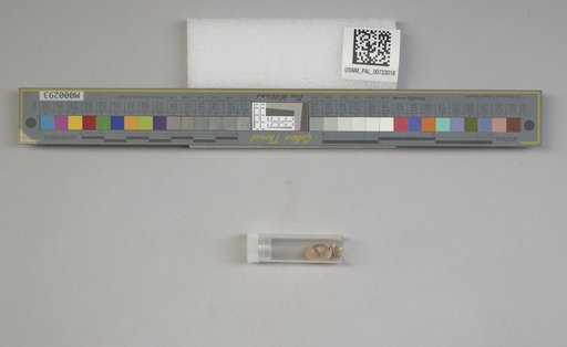 NSF ADBC EPICC TCN
