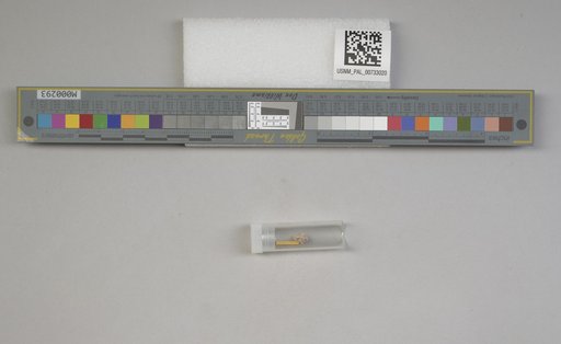 NSF ADBC EPICC TCN