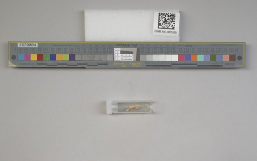 NSF ADBC EPICC TCN