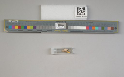 NSF ADBC EPICC TCN