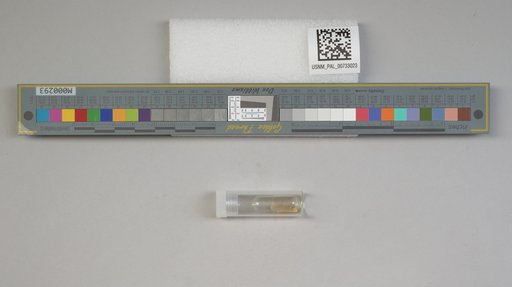 NSF ADBC EPICC TCN