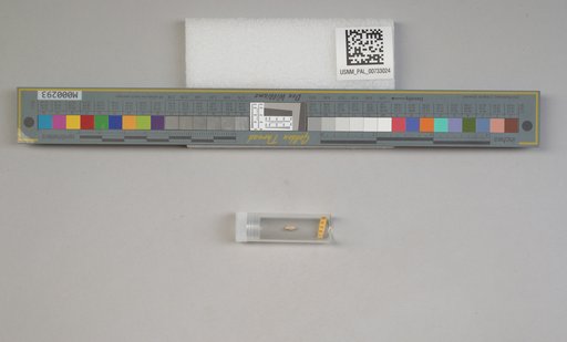 NSF ADBC EPICC TCN