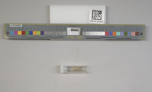 NSF ADBC EPICC TCN