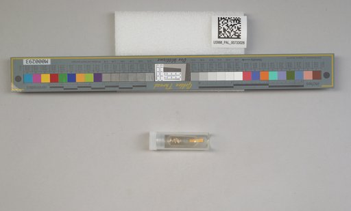 NSF ADBC EPICC TCN