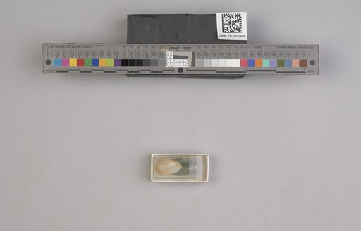 NSF ADBC EPICC TCN