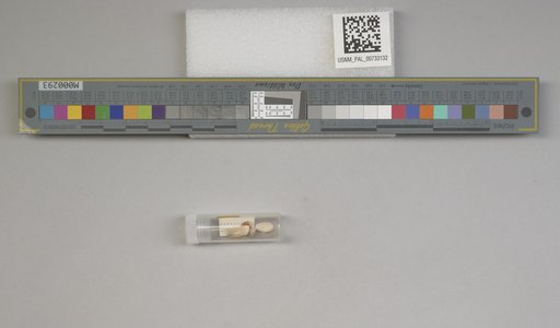 NSF ADBC EPICC TCN
