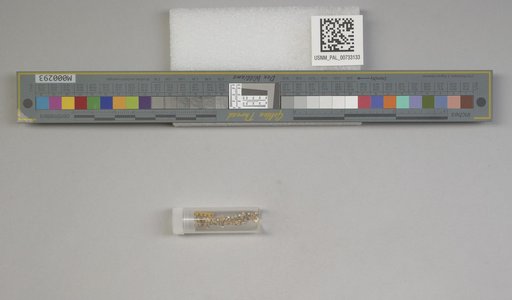 NSF ADBC EPICC TCN