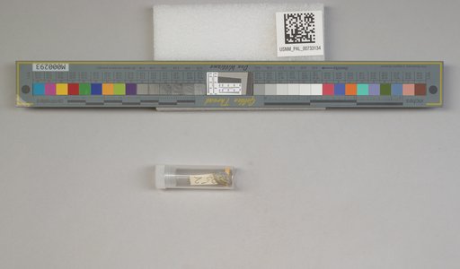 NSF ADBC EPICC TCN