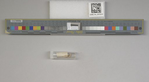 NSF ADBC EPICC TCN