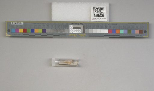 NSF ADBC EPICC TCN