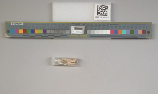NSF ADBC EPICC TCN