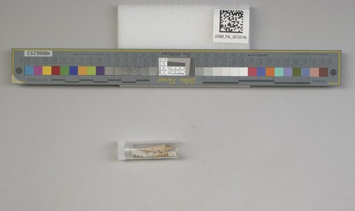 NSF ADBC EPICC TCN
