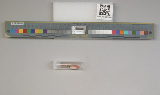NSF ADBC EPICC TCN