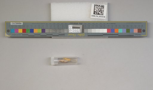 NSF ADBC EPICC TCN