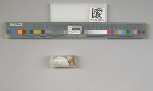 NSF ADBC EPICC TCN