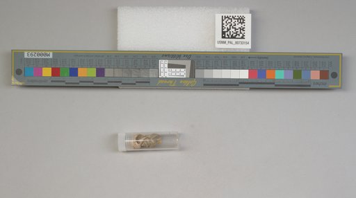 NSF ADBC EPICC TCN