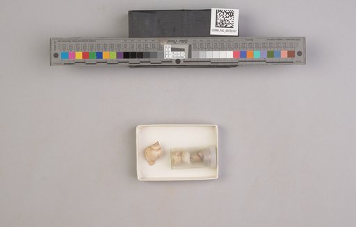 NSF ADBC EPICC TCN