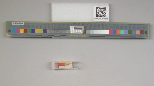 NSF ADBC EPICC TCN