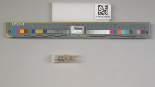 NSF ADBC EPICC TCN