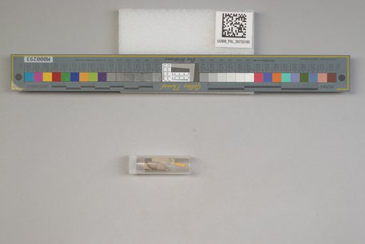 NSF ADBC EPICC TCN