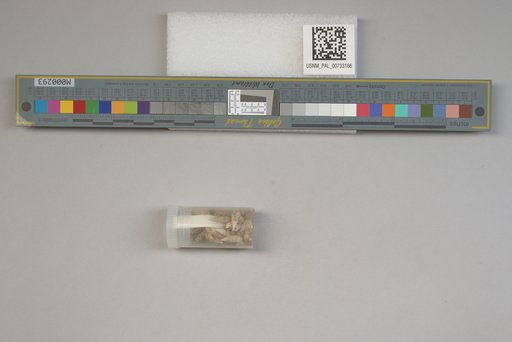 NSF ADBC EPICC TCN