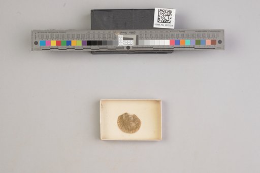NSF ADBC EPICC TCN