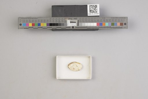 NSF ADBC EPICC TCN