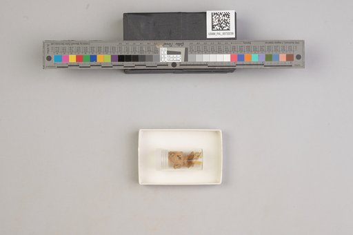 NSF ADBC EPICC TCN