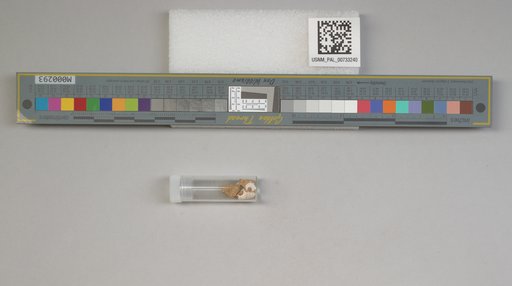 NSF ADBC EPICC TCN