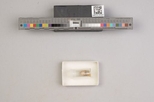 NSF ADBC EPICC TCN