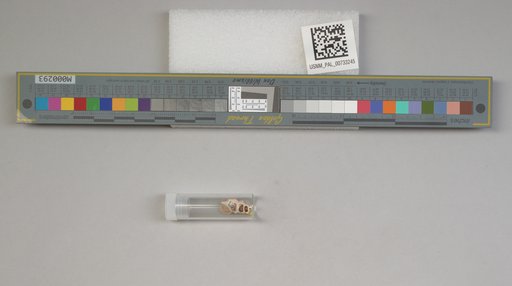 NSF ADBC EPICC TCN