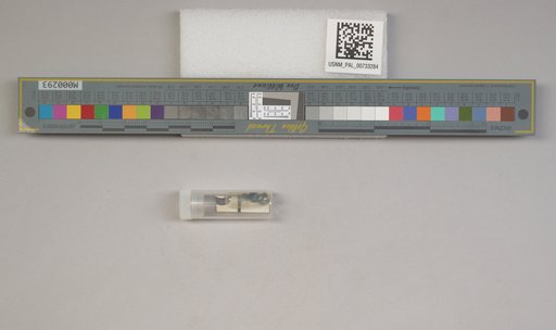 NSF ADBC EPICC TCN