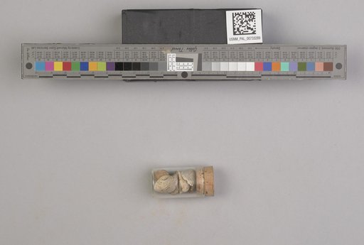 NSF ADBC EPICC TCN