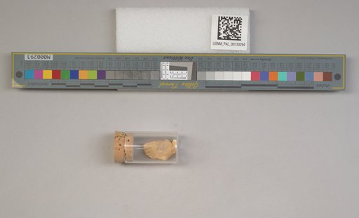 NSF ADBC EPICC TCN