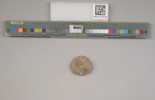 NSF ADBC EPICC TCN