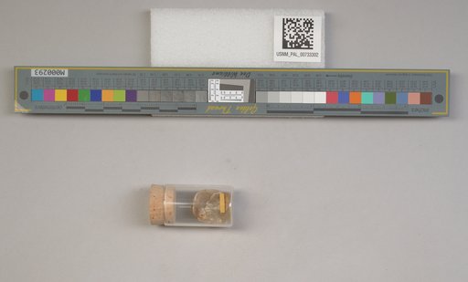 NSF ADBC EPICC TCN