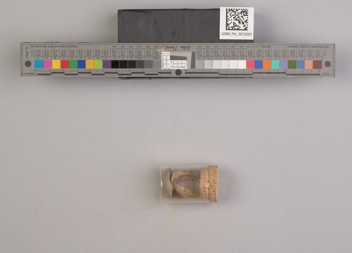 NSF ADBC EPICC TCN