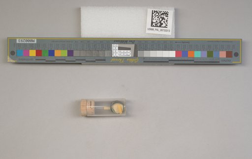 NSF ADBC EPICC TCN