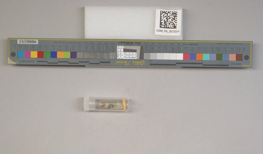 NSF ADBC EPICC TCN