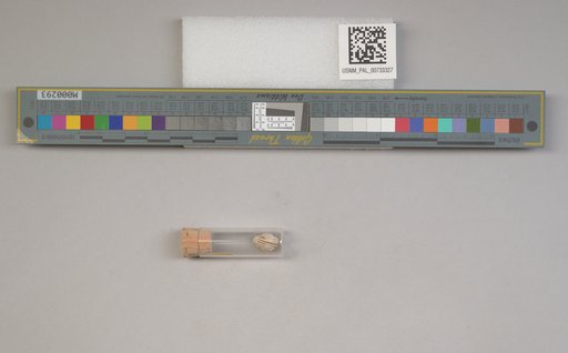 NSF ADBC EPICC TCN