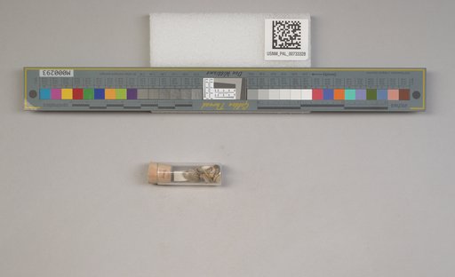 NSF ADBC EPICC TCN