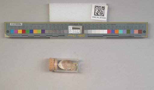 NSF ADBC EPICC TCN
