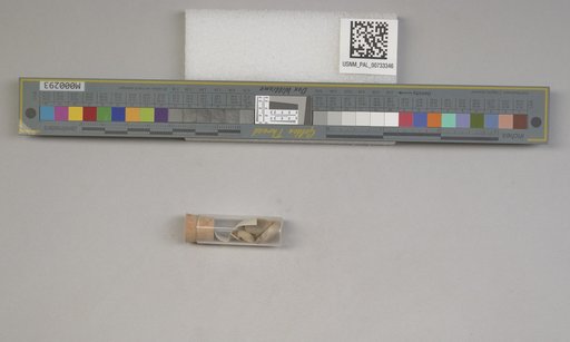 NSF ADBC EPICC TCN