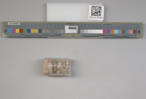 NSF ADBC EPICC TCN